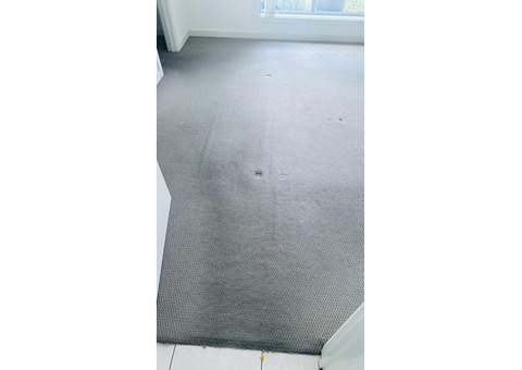 Carpet cleaning services Adelaide