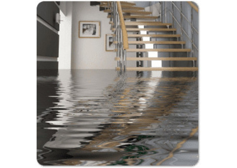 Water Restoration San Diego CA