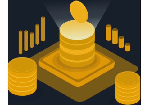 SUCCESSFUL USDT FLASH SOFTWARE