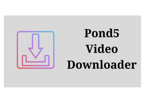 How to Download Pond5 Live Video