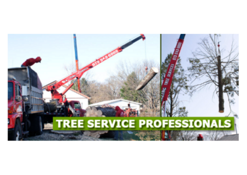 Tree Removal NJ