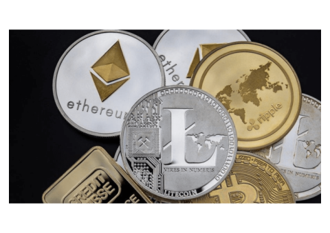 Best Crypto Insurance of 2022 You Need to Know About