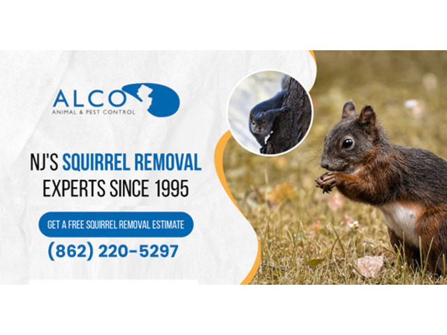Pest Removal in North NJ – Fast, Humane, & Eco-Friendly Service