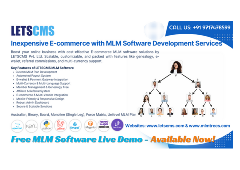 Inexpensive MLM Software and E-commerce Website Development