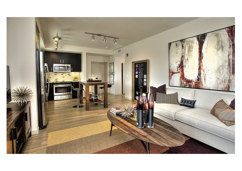 SPACIOUS 1 BEDROOM APARTMENT IN LOWER MANHATTAN AREA