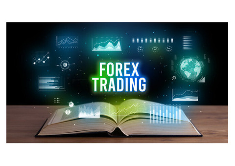 Hivelance Forex Clone Script Launch a Winning Trading Platform Fast