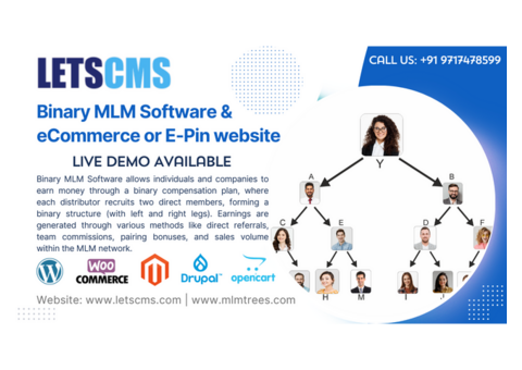 Binary MLM Plan with Daily Tasks — Boost Engagement