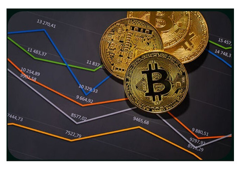 Revolutionizing Digital Asset Management