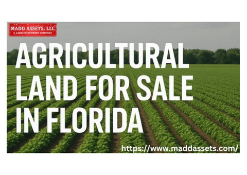 Explore Prime Agricultural Land for Sale in Florida