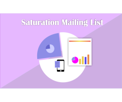 What is Saturation Direct Mailing List?