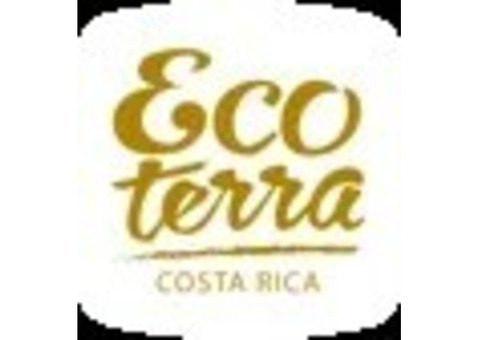 La Fortuna’s Hanging Bridges – Top Costa Rica Tour Company
