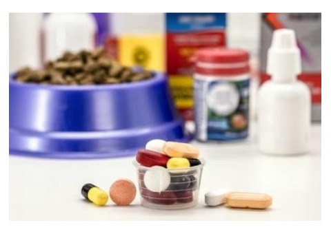 Veterinary Medicine Manufacturer
