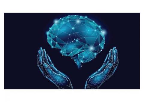 The Mental Health Crisis Has Worsened During Pandemic Times
