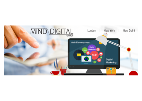 What is the purpose of doing the paid search?