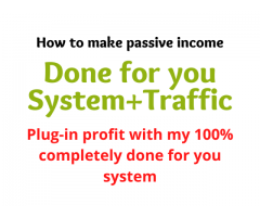 Done for you System+Traffic