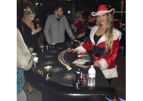 Elite Private Poker Tournaments by Dream Dealers
