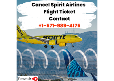 Spirit Flight cancelled - Farezhub