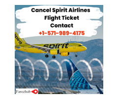 Spirit Flight cancelled - Farezhub