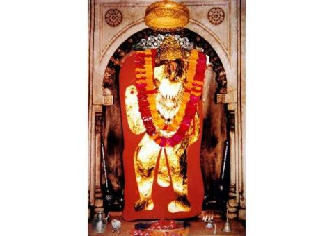 Love Problem Solution By Guru Ji +91-9056562757
