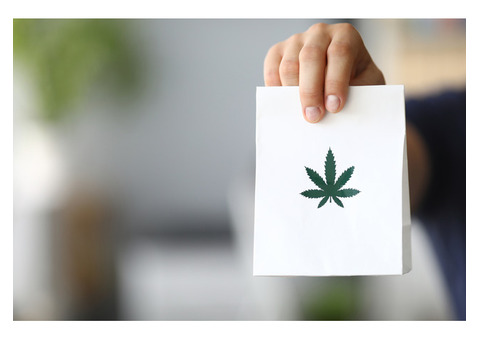 Visit the Best Dispensary San Diego Has to Offer