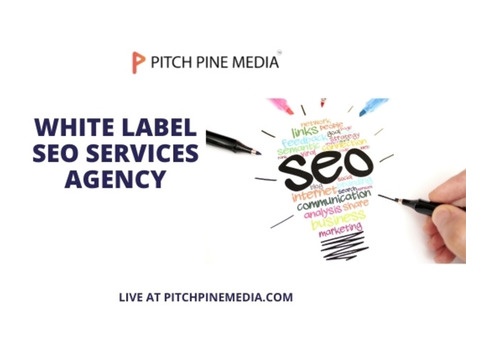 Boost Your Revenue with White Label SEO Agency in India