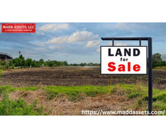 Looking for Prime Agricultural Land for Sale in Florida