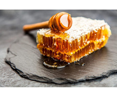 Best Place to Buy Pure Honey in Ambala