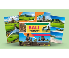Title: How to Plan Your Bali Tour Package from Delhi?