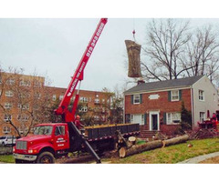 Professional Commercial Tree Service in NJ