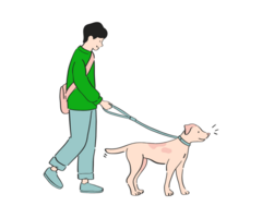 Proffesional Dog walking in Delhi
