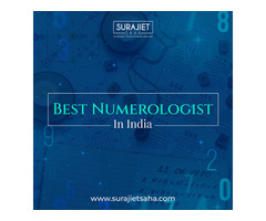 Best numerologist in india