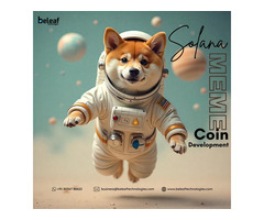 Build a Powerful Solana Meme Coin With Beleaf Technologies