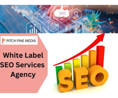 White Label SEO Agency in India