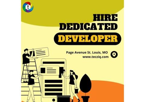 Hire Dedicated Developers | Tecziq Solutions