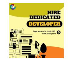 Hire Dedicated Developers | Tecziq Solutions