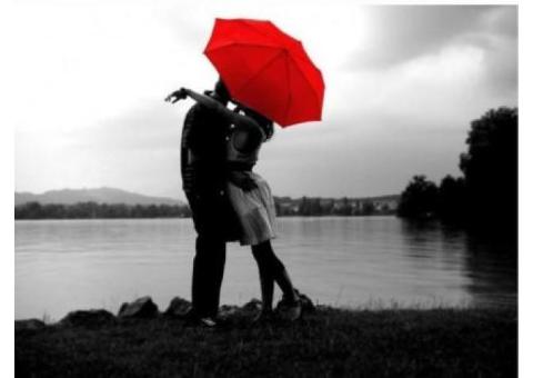 Relationship problem solution pandit vijay ji +91-8283806701
