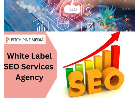Why Partnering with a White Label SEO Agency in India