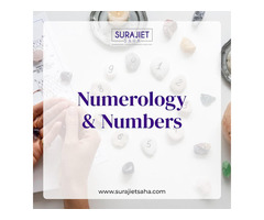 Numerology and numbers