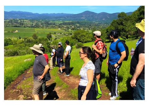 Team Building in Wine County