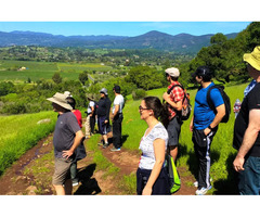 Team Building in Wine County