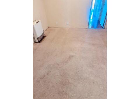 The Secret to Fresh Rugs: Professional Rug Cleaning in Adelaide