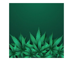 Buy Coco Slabs USA