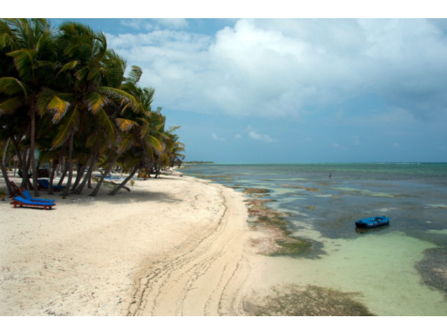 Real Estate agents in Matanchen Bay