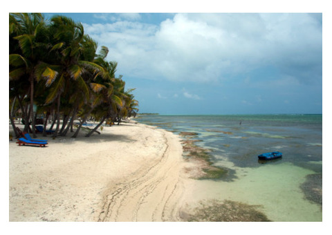 Real Estate agents in Matanchen Bay