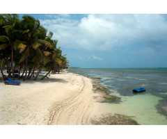 Real Estate agents in Matanchen Bay