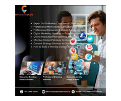 Professional Market Entry Consultation in India | The Caravan Studio