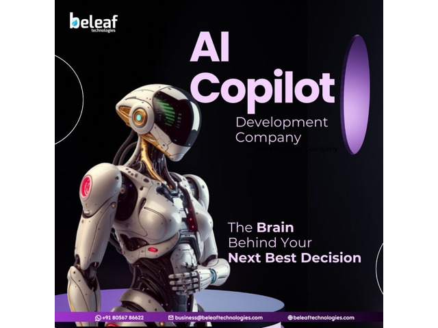What Could an AI Copilot Do For Your Business ?