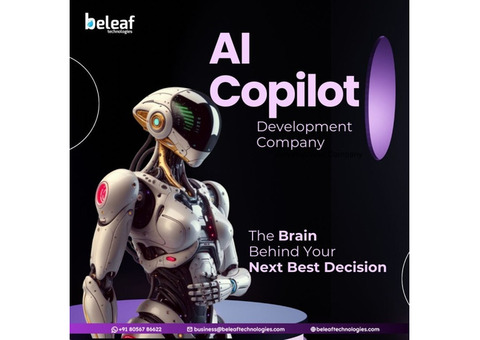 What Could an AI Copilot Do For Your Business ?