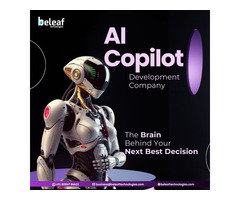 What Could an AI Copilot Do For Your Business ?