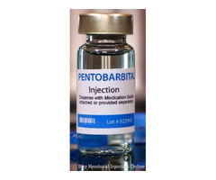 Nembutal Pentobarbital For Sale, Nembutal For Sale in USA